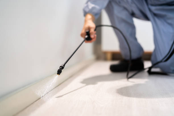 Licensed Termite Control service in Wyndham, VA - Nex Pest Control