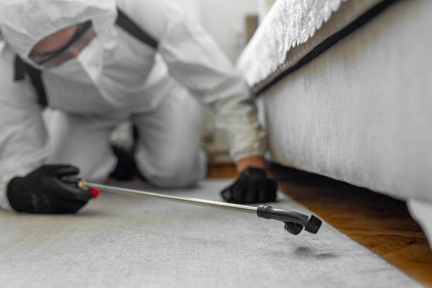Professional Termite Control technician working in Wyndham, VA