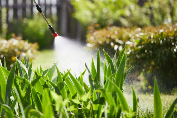 24/7 Emergency Termite Control experts in Wyndham, VA